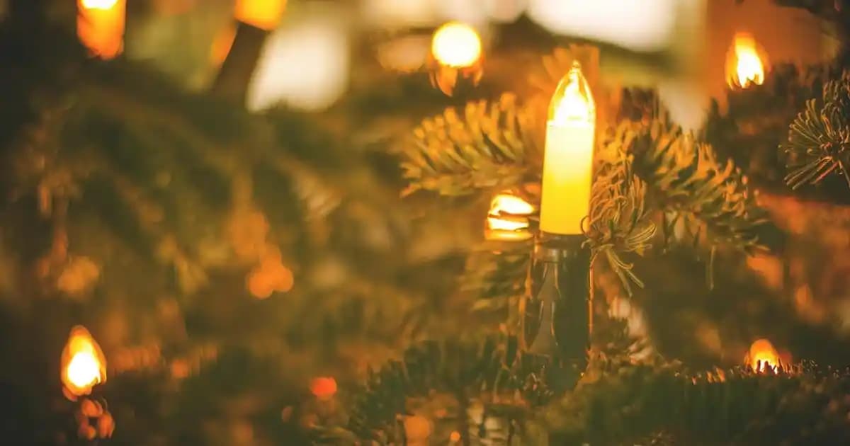 Zara Brasil Moda Koleksiyonları ve Uygun Fiyatlı Alışveriş Deneyimi