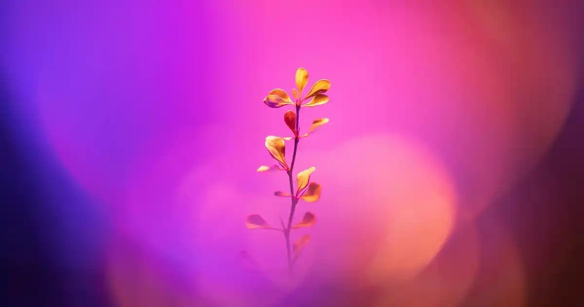 Zara delikli kazaklar: modern tasarımlar ve kombin önerileriyle şıklık ve konforun buluşması