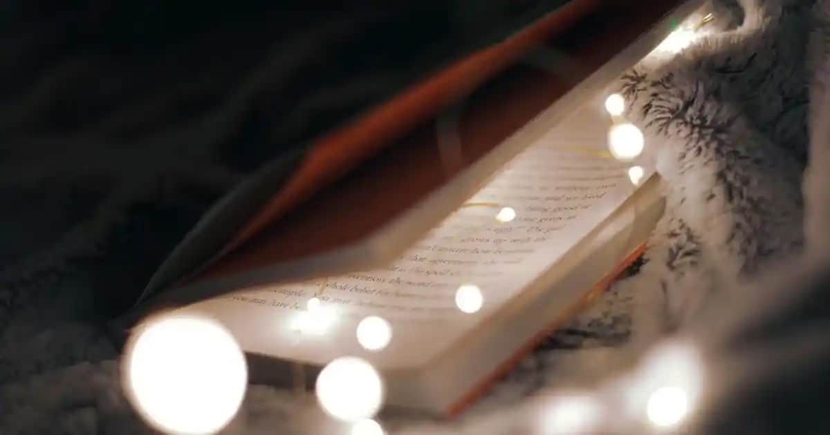 Zara Kadın Elbise Koleksiyonları: Günlük ve Şık Tasarımlarla Tarzınızı Yansıtın