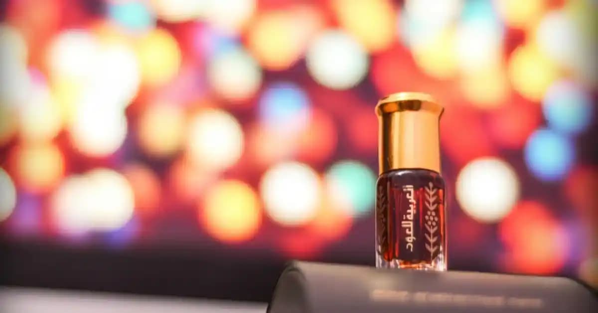 Zara Kolsuz Bluz Koleksiyonu: Şıklık ve Rahatlığı Bir Arada Sunan Modeller