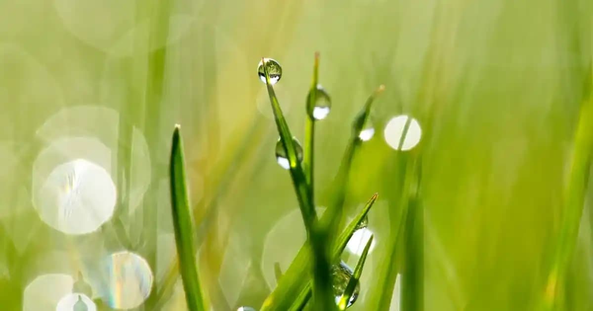 2025'te Zara'nın Yeşil Elbiseleriyle Stilinizde Canlılık Yaratın