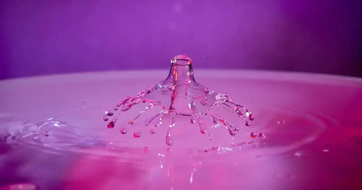 2025'te Zara Tül Bluzlarıyla Feminen Şıklığın 5 Sırrı