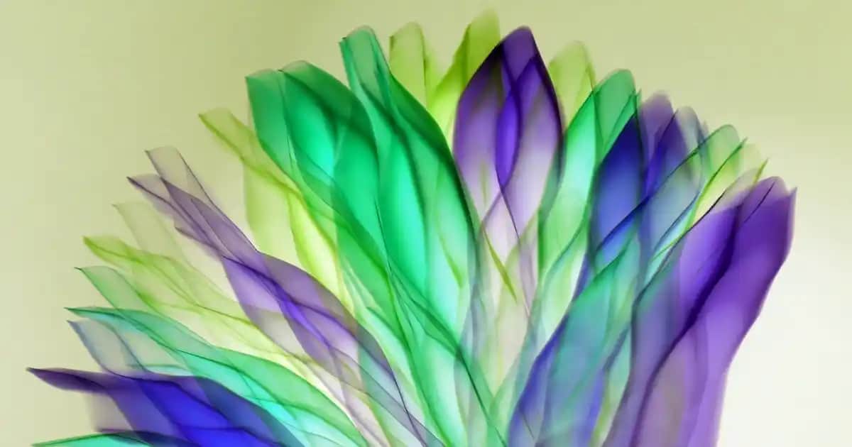 Zarif Elbise Seçimi ve Modası: Günlük ve Özel Günler İçin Şık Kıyafetler