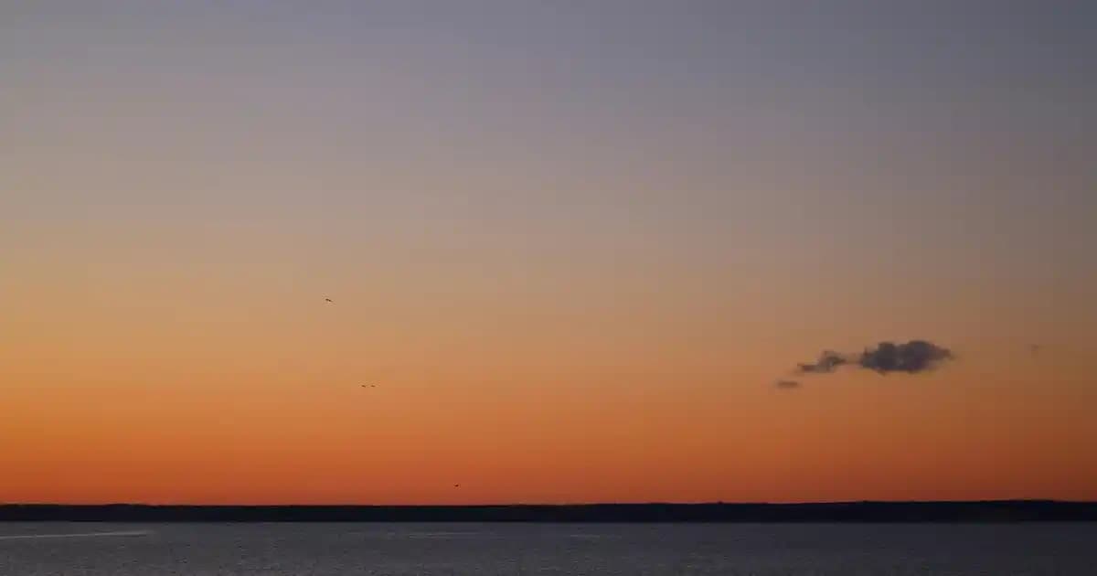 Büyük Beden Erkekler İçin Şık ve Konforlu Takım Elbise Modelleri Rehberi