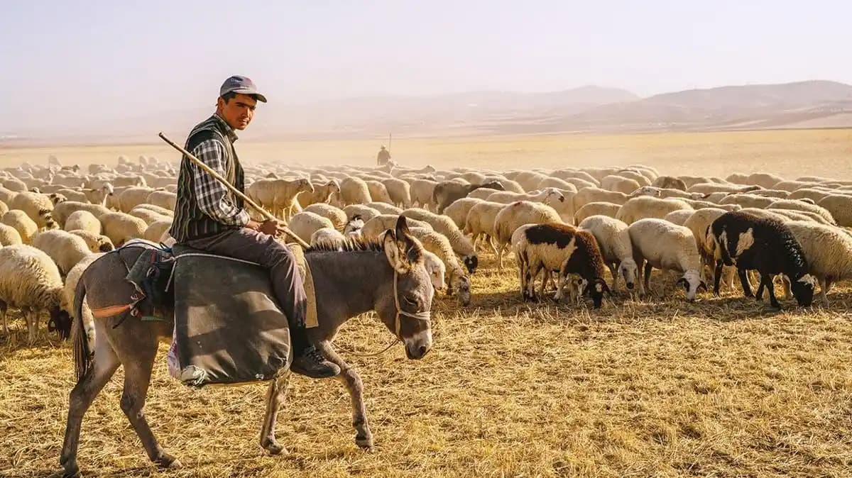 Çoban Kabanı Modası: Doğadan İlham Alan Şık ve Fonksiyonel Kış Giysisi