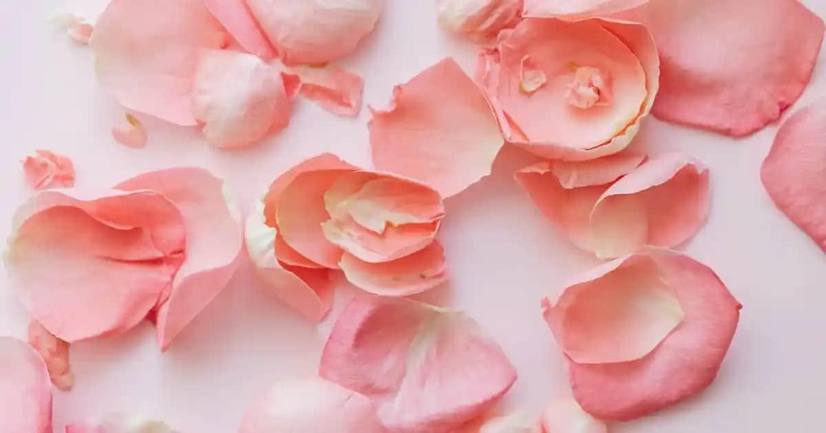 Güzel Elbiseler ve Moda Trendleri: Şıklık ve Tarzın En Güncel Yansımaları