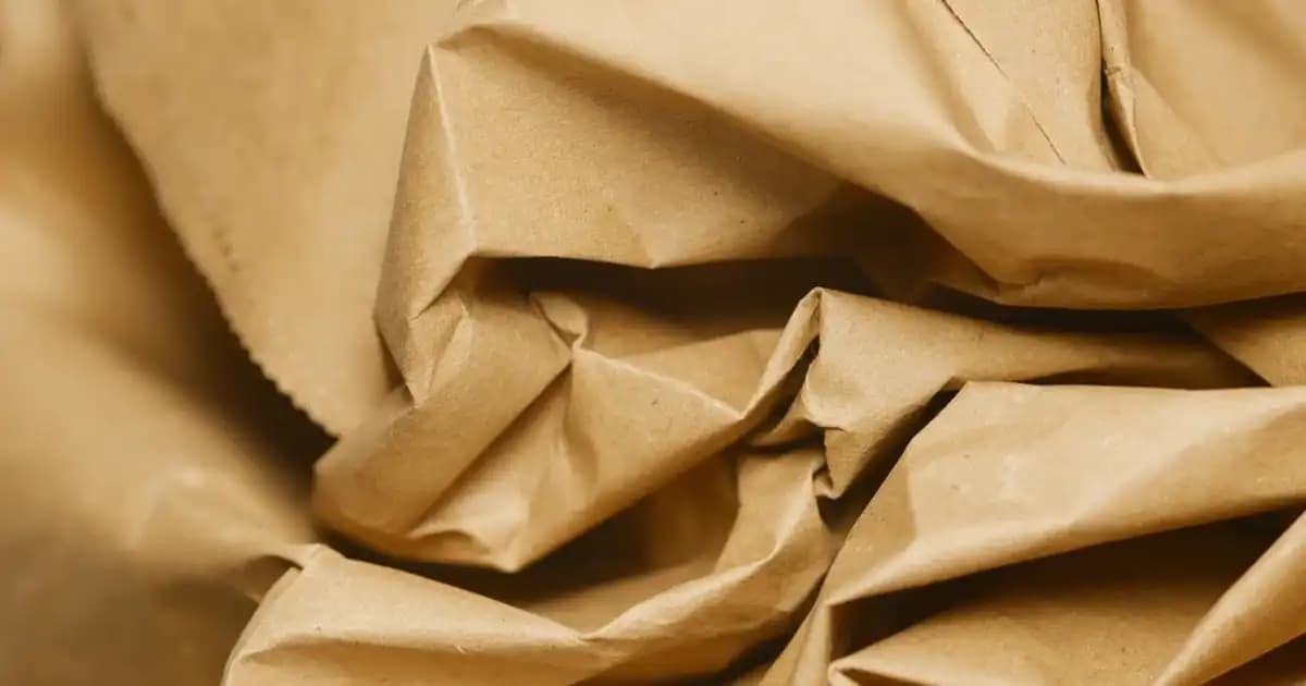 Kadın Modasında Vans Tişörtleri: Günlük Stil ve Konforun Buluştuğu Modern Seçenekler