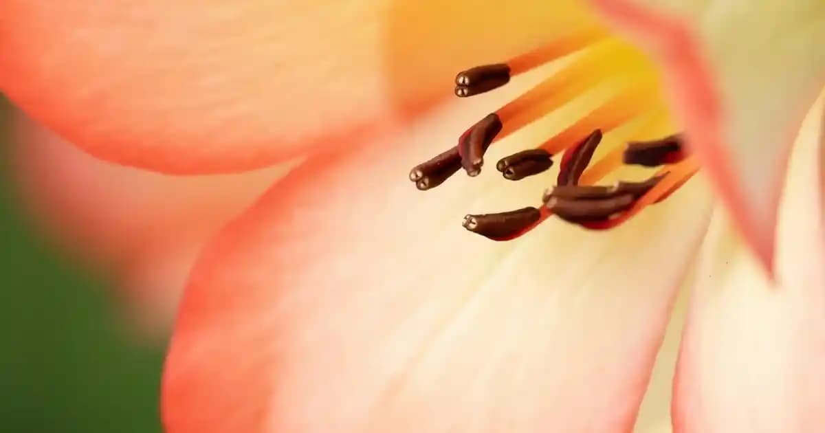 Kışın Şık ve Modern Görünüm İçin Çizgili Kaşe Kabanlar Modasında Güncel Trendler ve Stil Önerileri