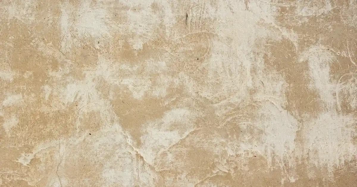 Lacoste Modası: Şıklık ve Konforu Bir Arada Sunan Giyim Markası