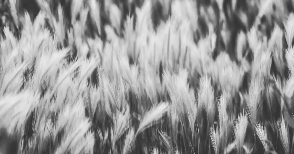 Moda Dünyasında Pembe Çantalar: Renk Katmanın En Güzel ve Şık Yolu