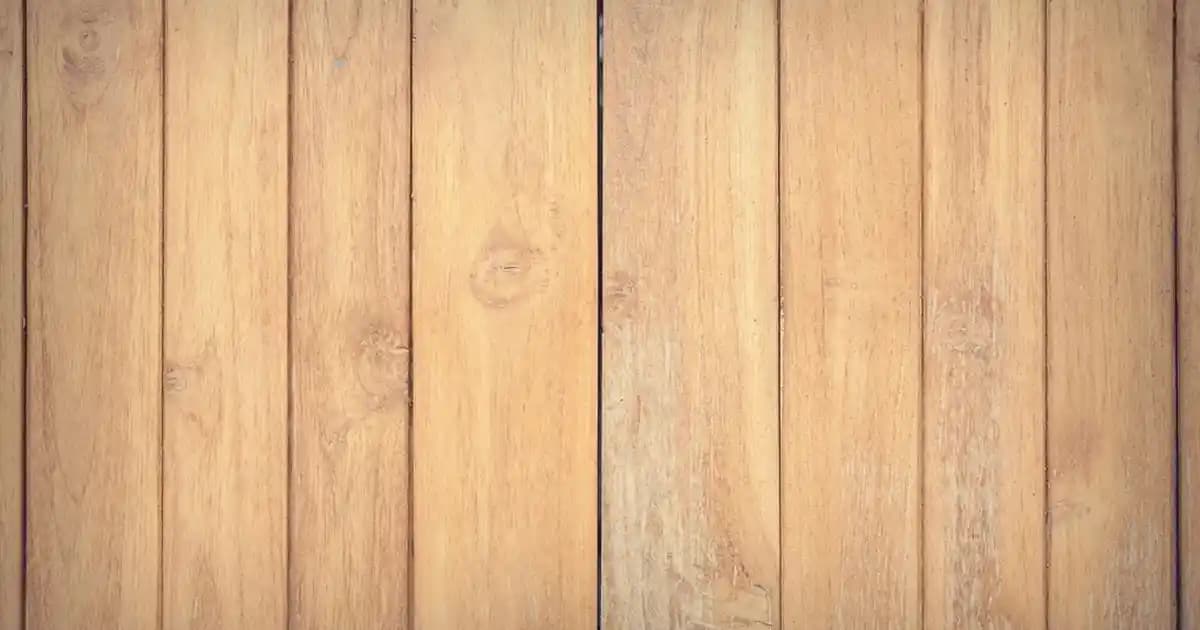 Moda Trendleri ve Medyanın Moda Endüstrisine Etkisi Üzerine Güncel Bir Analiz