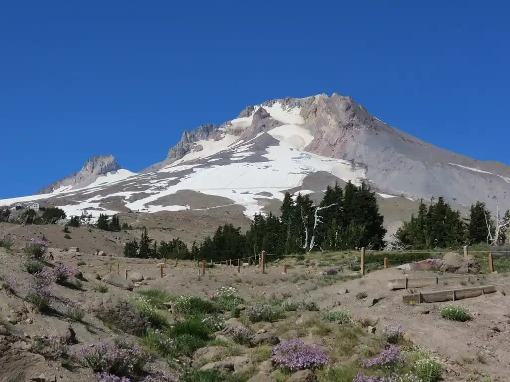 Moda ve Teknolojinin Kesişimi: Hot-Carrier Degradasyonu ve Güncel Trendler