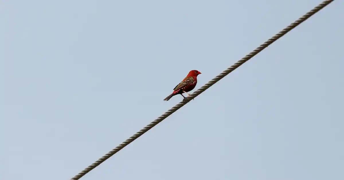 Ozdilek GS Store: Moda Dünyasında Geniş Ürün Yelpazesi ve Güncel Trendler