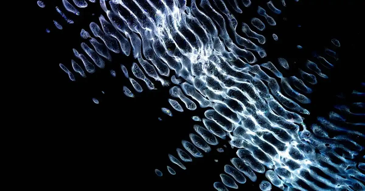 Suni Deri Cüzdanlar: Moda ve Sürdürülebilirlik Trendlerini Yansıtan Şık Seçenekler