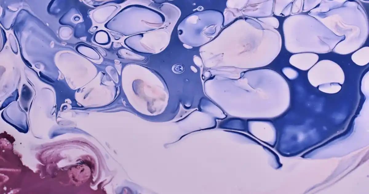 Süvari Lacivert Takım Elbise: Şıklık ve Asilğin Modern Moda Yansımaları