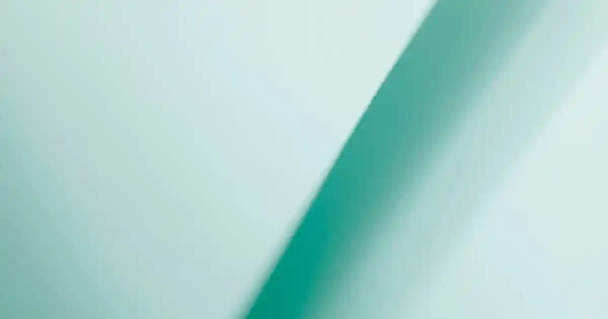 Timberland Erkek Montları: Dayanıklı ve Şık Kış Giyim Seçenekleri