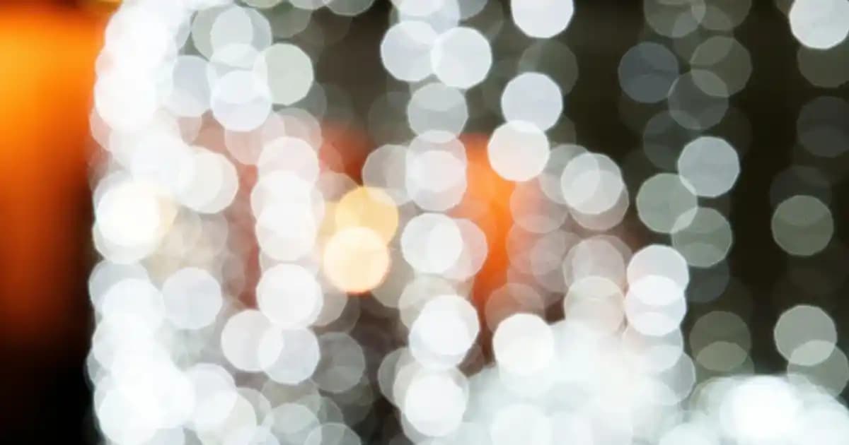 Timberland Sprint Trekker Mid Fab WP: Su Geçirmez ve Şık Şehir ve Doğa Ayakkabısı