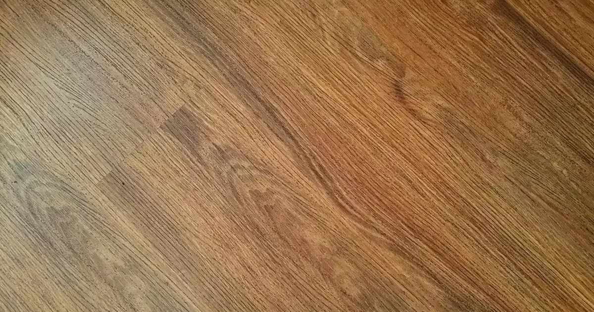 Tommy Hilfiger Kaz Tüyü Mont Koleksiyonları ve Moda Trendleri 2024