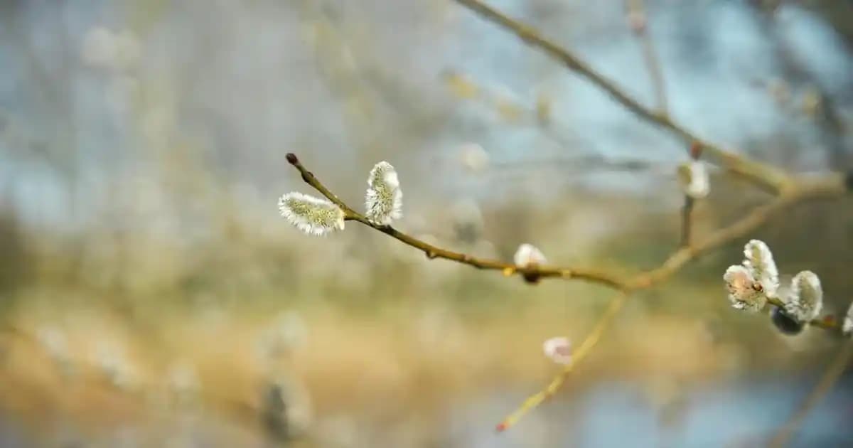 Tommy Jeans Erkek Koleksiyonlarıyla Güncel ve Şık Moda Trendlerini Yakalayın