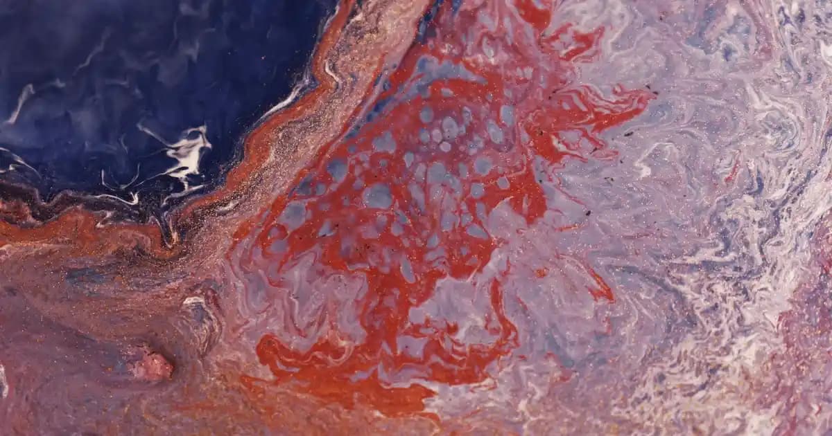 Triko Elbise ve Kemer Kombinasyonlarıyla Şık ve Konforlu Tarz Yaratma Rehberi