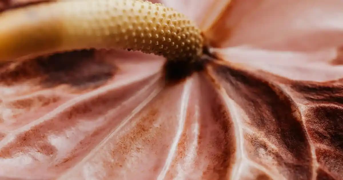 Ugg Kar Botları Modası ve Stil Önerileri: Kışın Şıklık ve Fonksiyonellik