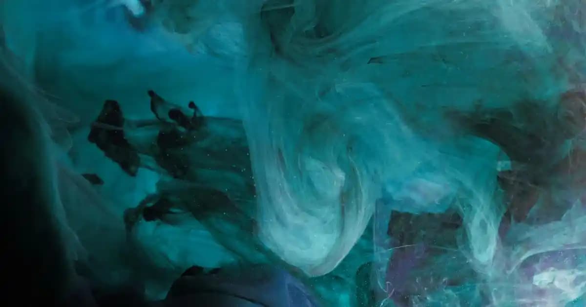 Us Polo Oduncu Gömlekleri: Moda Trendleri ve Stil Önerileri