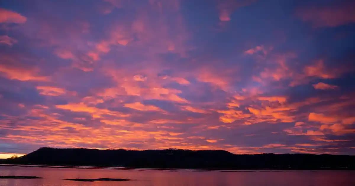 Üst Giyim Çeşitleri ve Moda Trendleri: Günlük ve Resmi Kullanım İçin Stil Rehberi