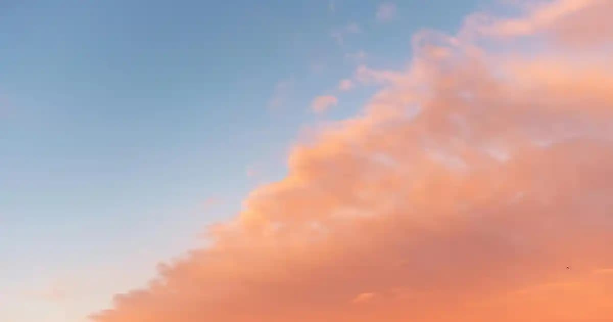 Uygun Bot Seçimiyle Moda ve Konforu Bir Arada Yakalamak İçin Rehber