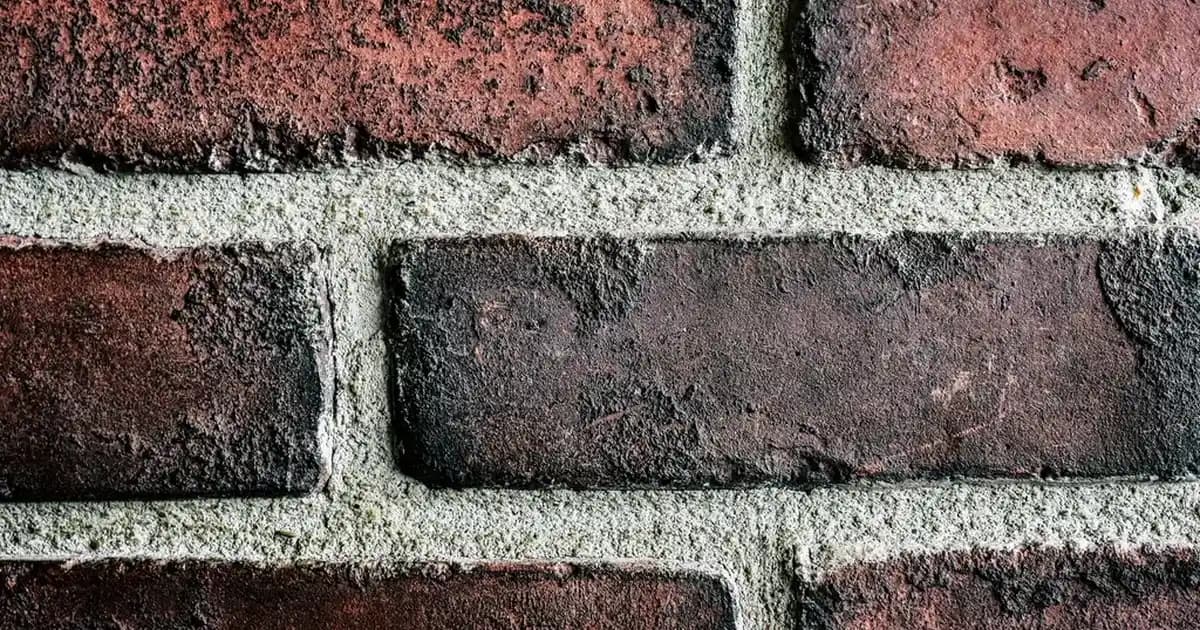 Uygun Fiyatlı Gece Elbiseleri Seçerken Dikkat Edilmesi Gerekenler ve En İyi Alışveriş Kaynakları