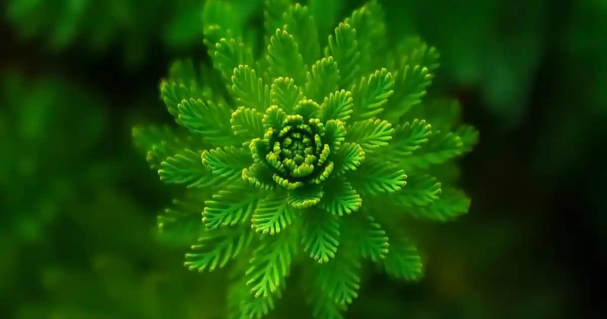 Uygun Fiyatlı Takım Pantolonlar ile Şık ve Ekonomik Görünüm Yaratma Rehberi