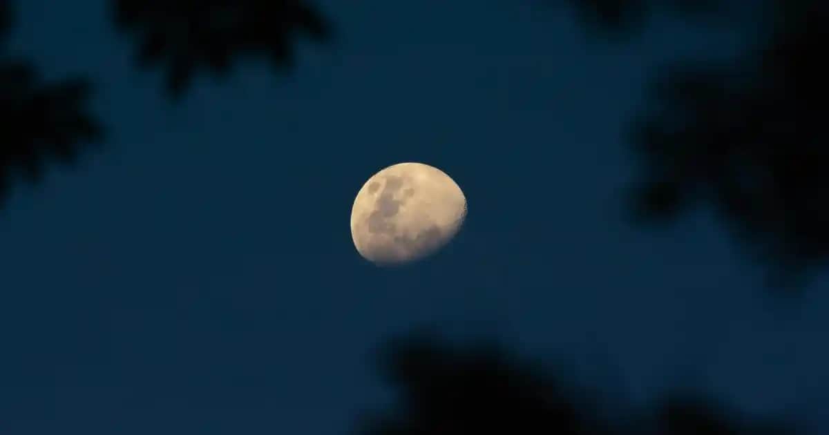 Uzun Kaban Modelleri ve Trendleri 2024 Güncel Kış Stili Rehberi