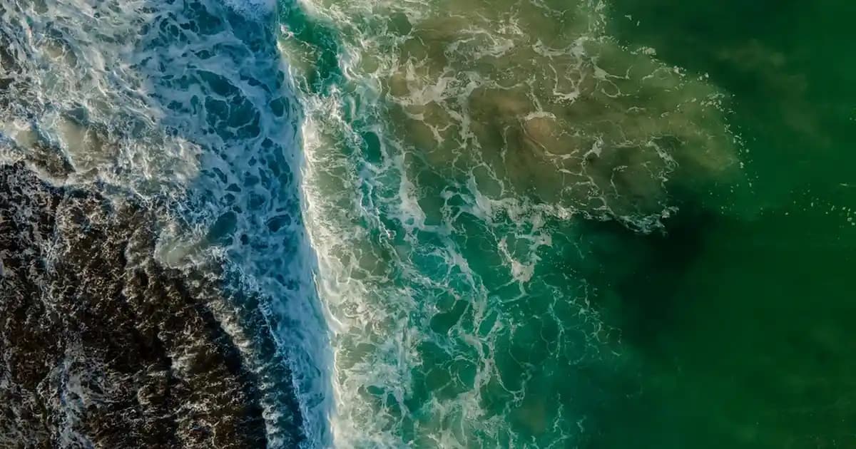 Uzun Yırtmaçlı Tişörtler Moda Dünyasında Güncel Trendler ve Stil Önerileri