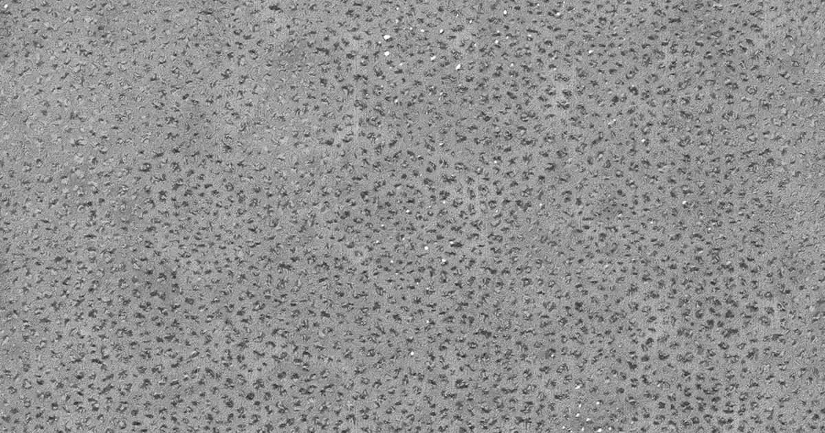 Vans UltraRange Exo Modası ve Teknolojisiyle Günümüz Trendlerine Uyum Sağlayan Ayakkabı