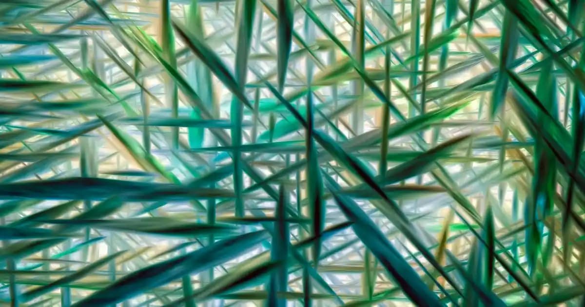 Yandan Düğmeli Yeleğin Moda Dünyasındaki Yeri ve Stil İpuçları