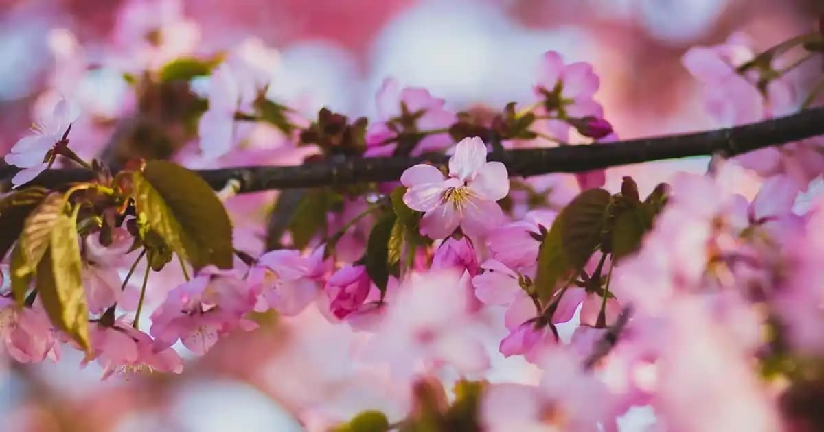 Yazlık Elbise Altına Uygun Ayakkabı Seçimi ve Kombin İpuçları