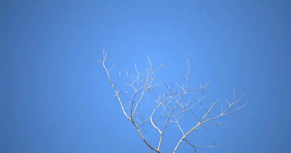 Yelek Modellerinde Güncel Trendler ve Stil İpuçları 2023