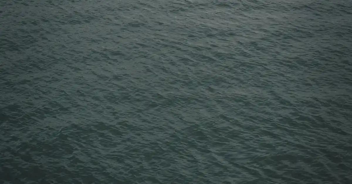 Yeşil Keten Kumaş: Doğadan İlham Alan Şıklığın ve Rahatlığın Buluştuğu Moda Seçeneği