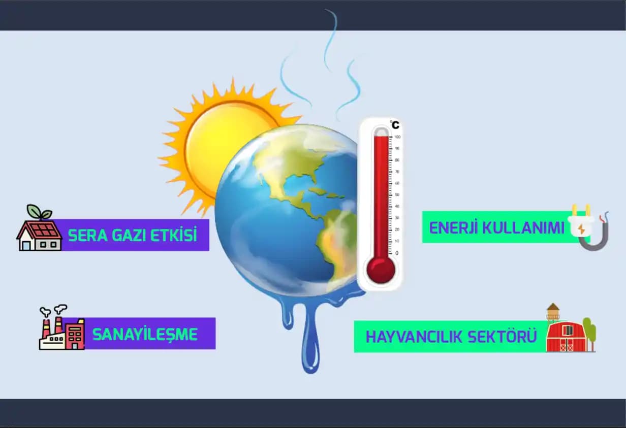 Yeni Şehre Taşınırken İklime Uyum Sağlama ve Gardırop Yenileme Stratejileri