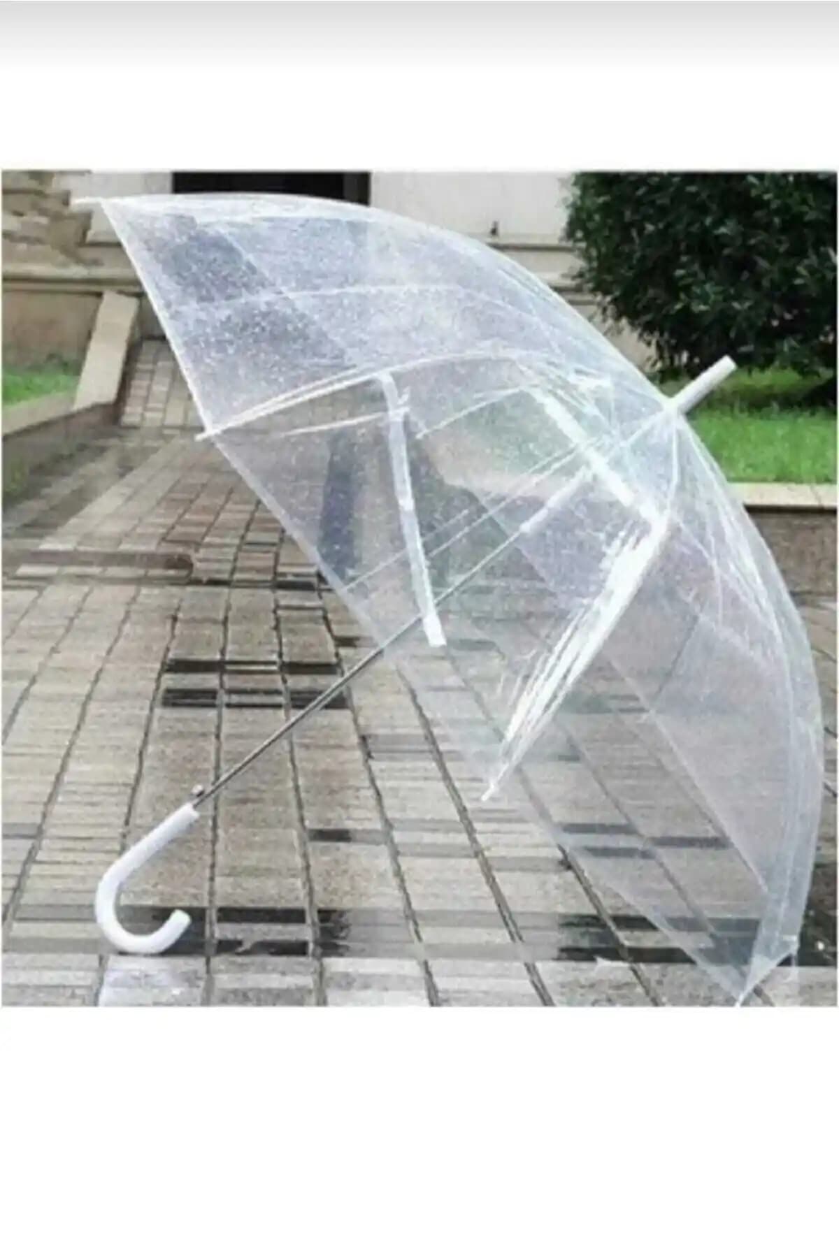 Genel Markalar Şeffaf ve Dayanıklı Baston Şemsiye Ürünü Detaylı İnceleme ve Özellikleri