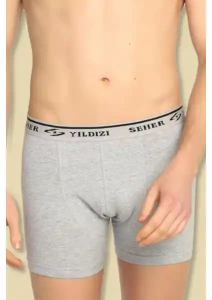 Seher Yıldızı Erkek Gri 6'lı Likralı Pamuk Boxer Paketi Detaylı İnceleme ve Kullanıcı Yorumları