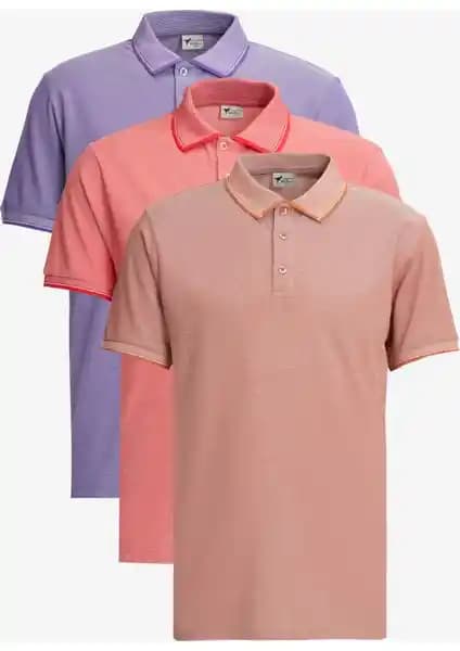 Altınyılz Classics Erkek Polo Yaka Tişörtleri Kiremit, Nar Çiçeği ve Mor Renk Seçenekleriyle