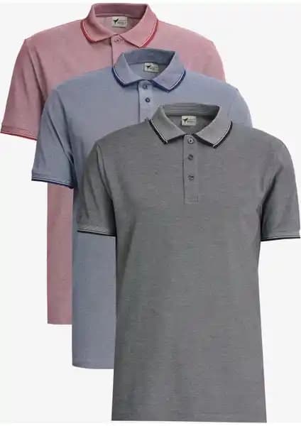 Altınyılz Classics Slim Fit Dar Kesim Polo Yaka Tişörtler 3'lü Paket Modern Erkek Giyim