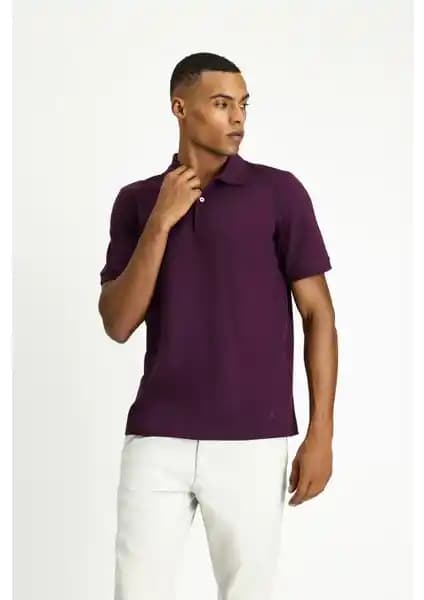 Kiğılı Polo Yaka Nakışlı Pamuk Tişört Erkekler İçin Günlük Şıklık ve Konfor Sunar