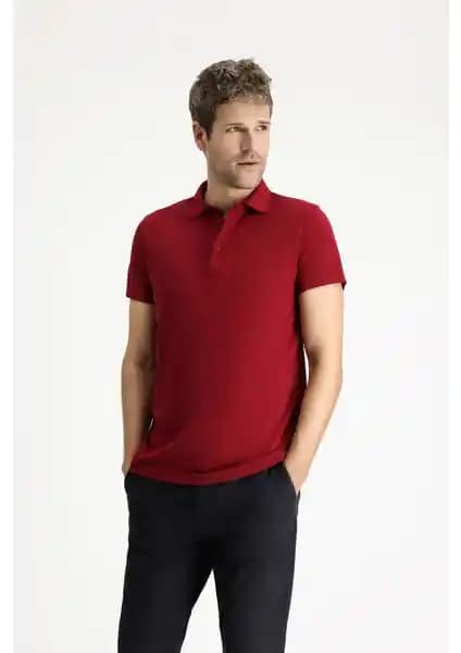 Kiğılı Polo Yaka Regular Fit Nakışlı Pamuklu Tişört Detayları ve Kullanım Önerileri