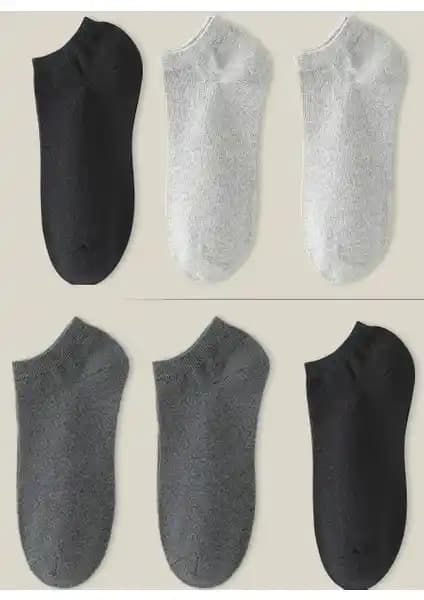 Ozzy Socks 3'lü Unisex Dikişsiz Patik: Rahat ve Şık Günlük Kullanım Çorabı