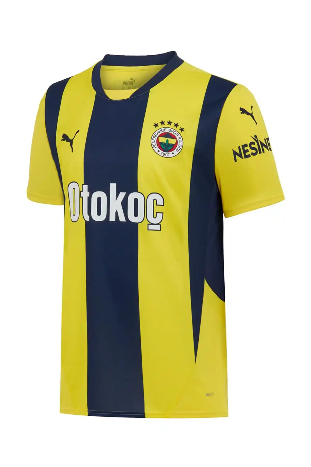 Fenerbahçe 2024/2025 Sezonu Çubuklu ve İç Saha Futbol Formaları Karşılaştırması