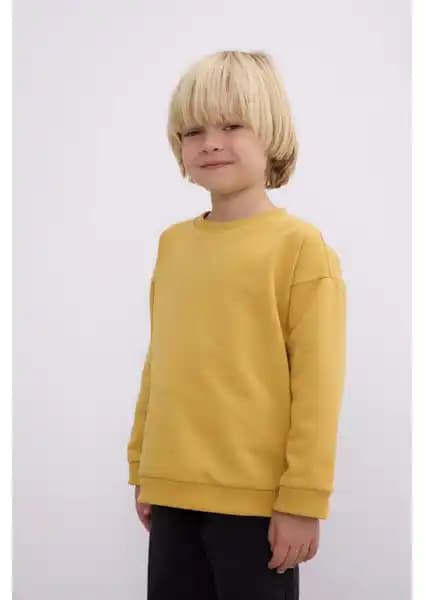 DeFacto ve HelloBaby Erkek Bebek Sweatshirtleri Karşılaştırması: Özellikler ve Kullanıcı Yorumları