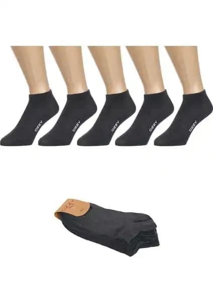 Ozzy Socks ve Katia & Bony Çorap Karşılaştırması: Özellikler, Kullanıcı Yorumları ve Seçim İpuçları