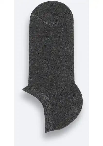 AVVA Erkek Antrasit Pamuklu Sneaker Çorap: Konfor ve Şıklığın Modern Buluşması